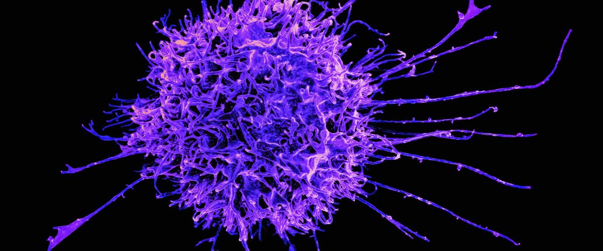 Mythen &uuml;ber unser Immunsystem im Faktencheck