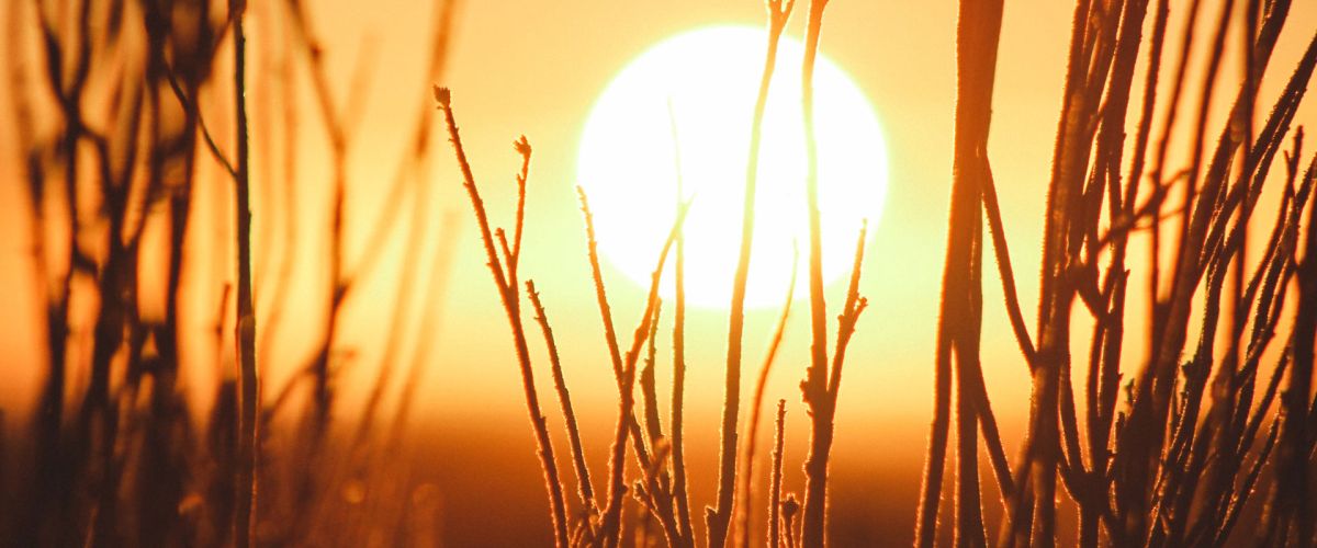 Vitamin D3 &ndash; das &laquo;Sonnenvitamin&raquo;